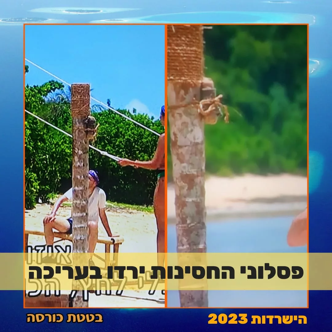 בטטת כורסה פסלוני חסינות ירדו בעריכה
