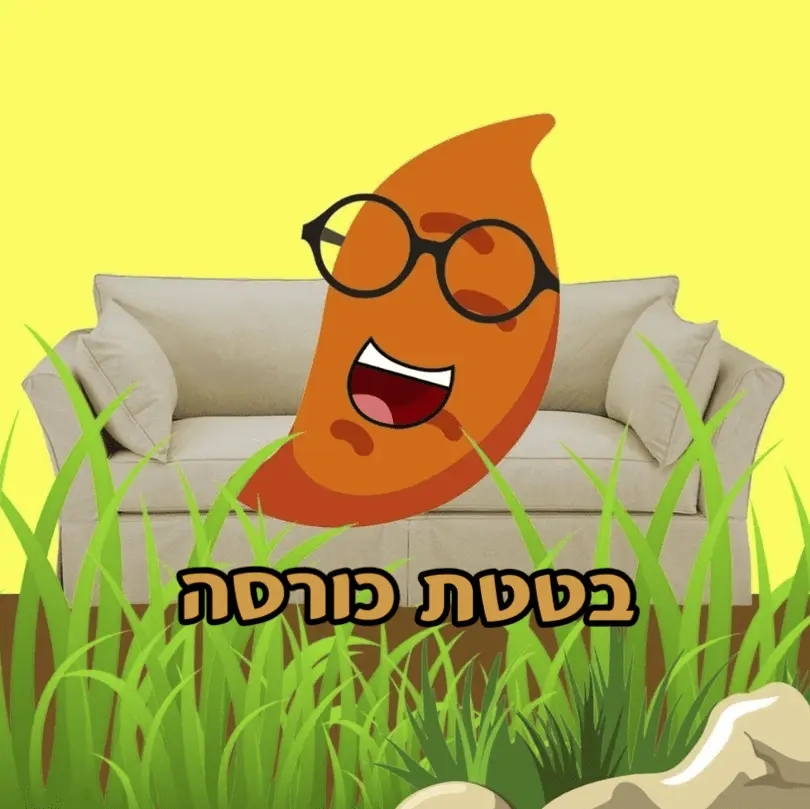 בטטת כורסה