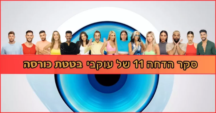 בטטת כורסה סקר הדחה 11 האח הגדול