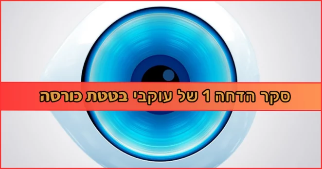 בטטת כורסה סקר הדחה האח הגדול של עוקבי בטטת כורסה