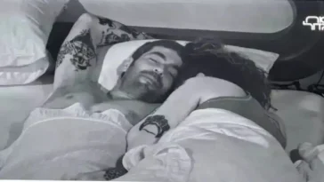 בטטת כורסה שלוש כניסות ועוד אחת בדרך לבית האח הגדול - סיכום שבוע